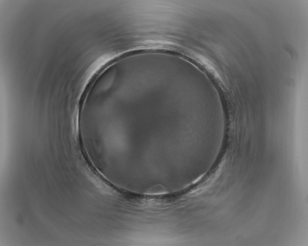 X0000112011275200908031259