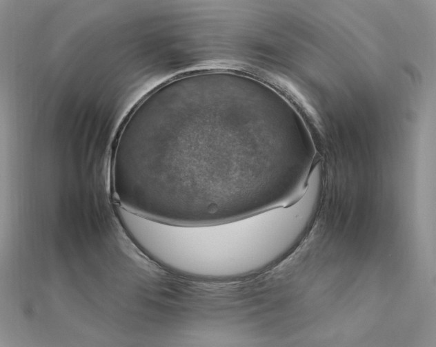 X0000112011276200908031259