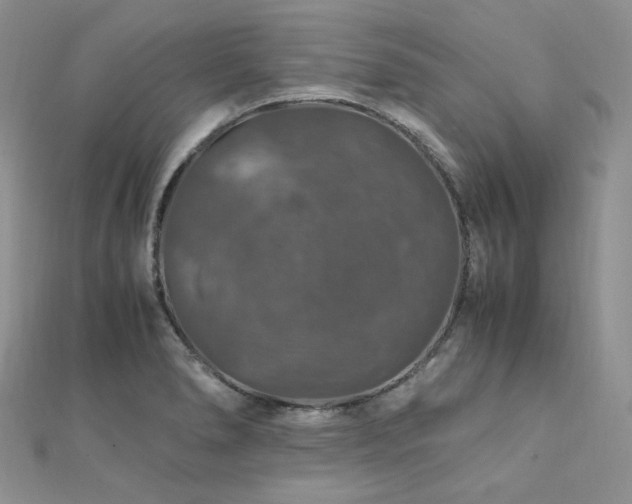 X0000112011278200908031259