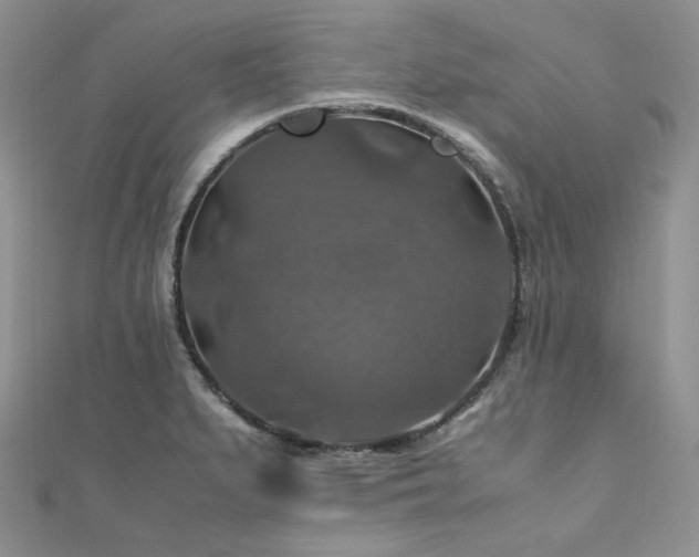 X0000112011279200908031259