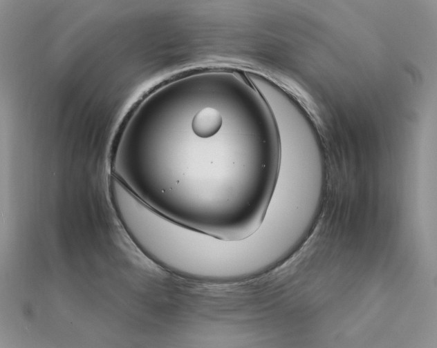 X0000112011280200908031259