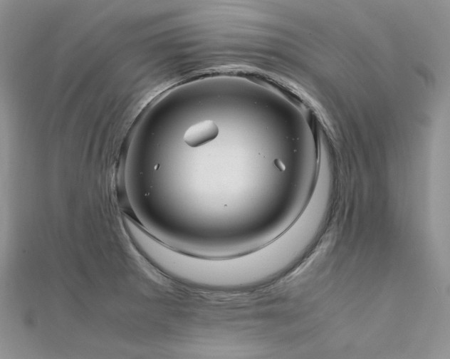 X0000112011281200908031259