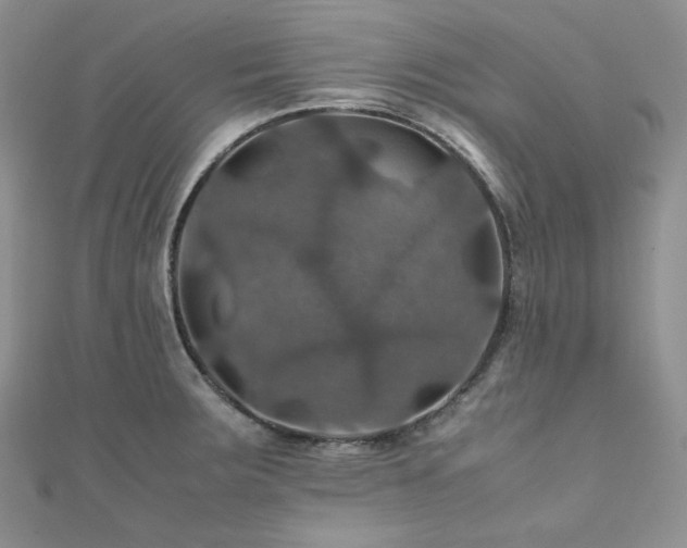 X0000112011283200908031259