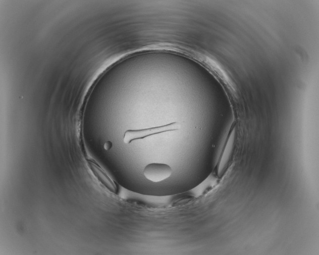 X0000112011284200908031259