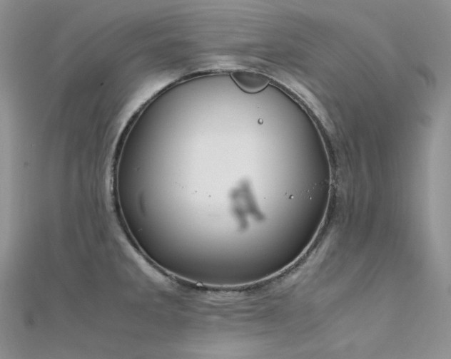 X0000112011285200908031259
