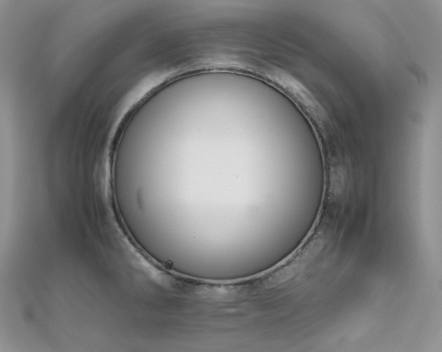 X0000112011286200908031259