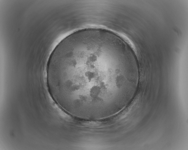 X0000112011287200908031259