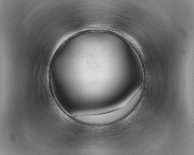 X0000112011288200908031259