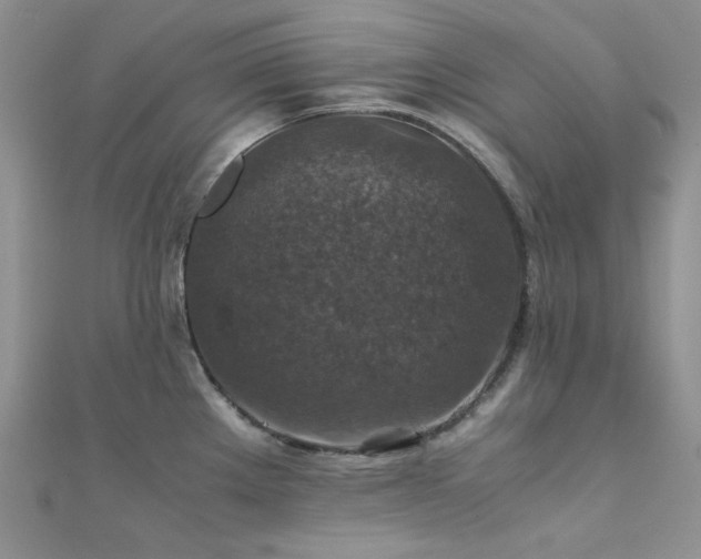 X0000112011289200908031259
