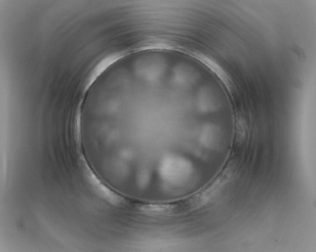 X0000112011290200908031259