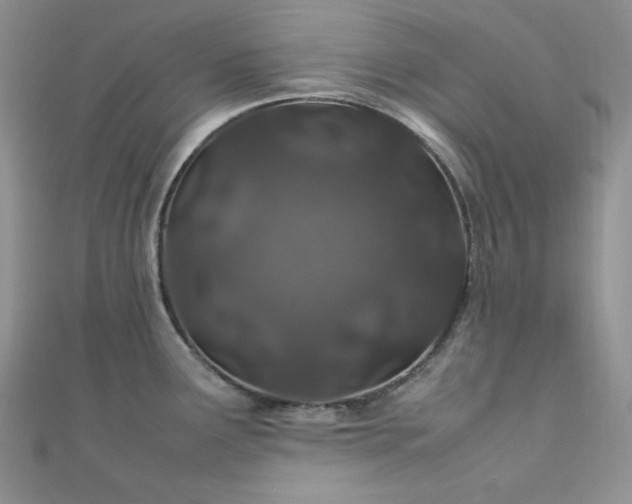 X0000112011291200908031259