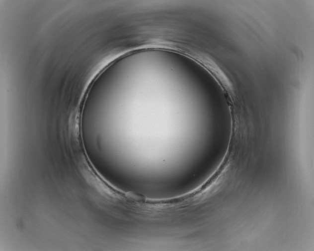 X0000112011292200908031259