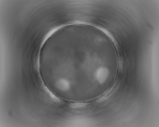 X0000112011294200908031259