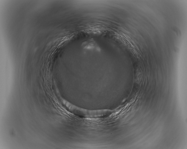 X0000112011297200908031258