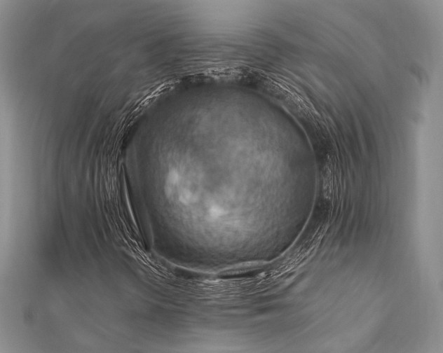 X0000112011298200908031258