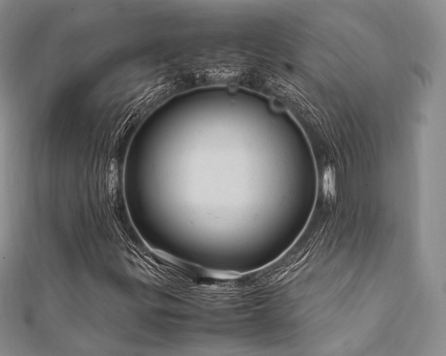 X0000112011299200908031258