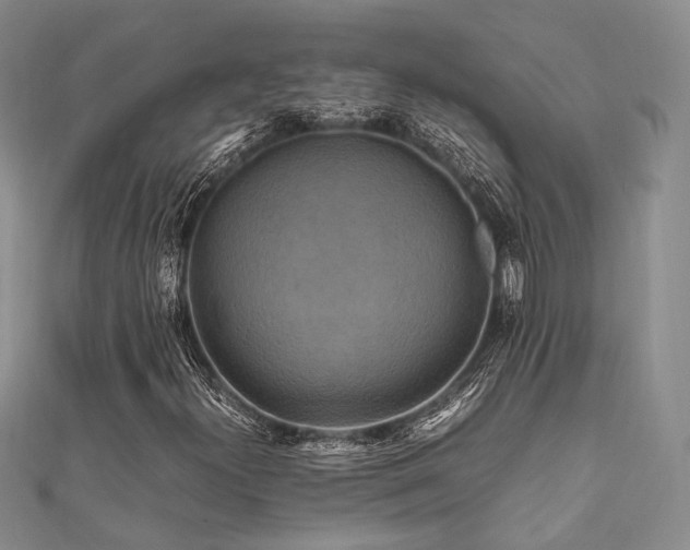 X0000112011300200908031258