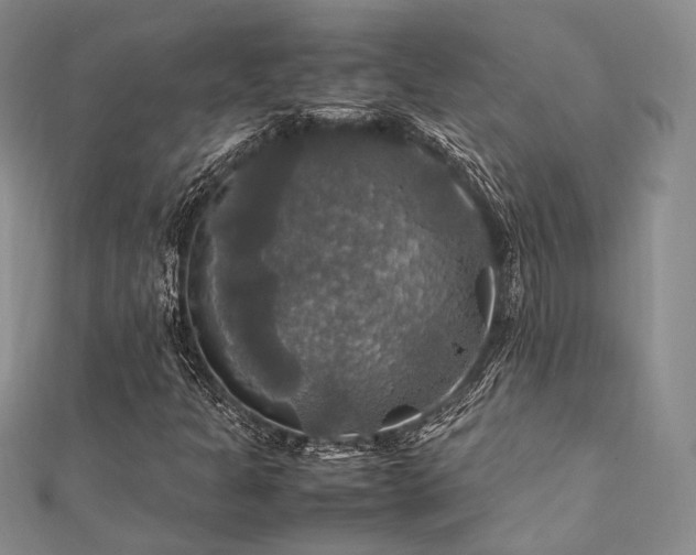 X0000112011301200908031258