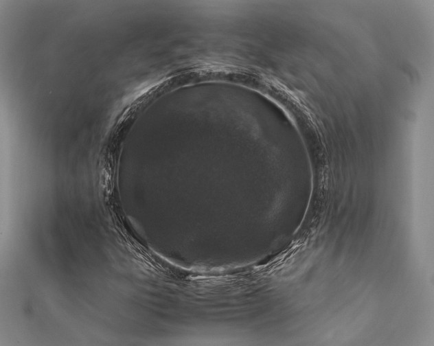 X0000112011303200908031258