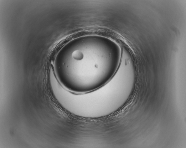 X0000112011304200908031258