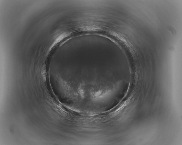 X0000112011306200908031258
