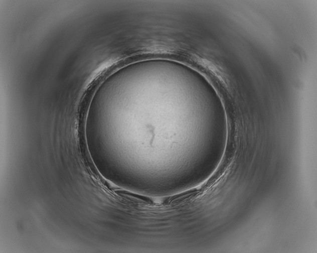 X0000112011307200908031258