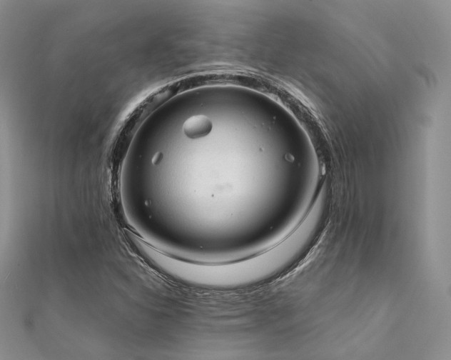 X0000112011310200908031258