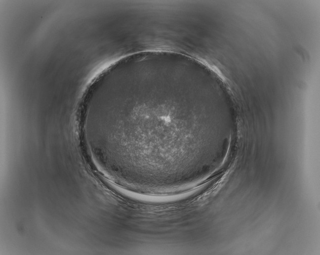 X0000112011311200908031258