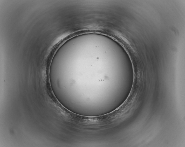 X0000112011315200908031259