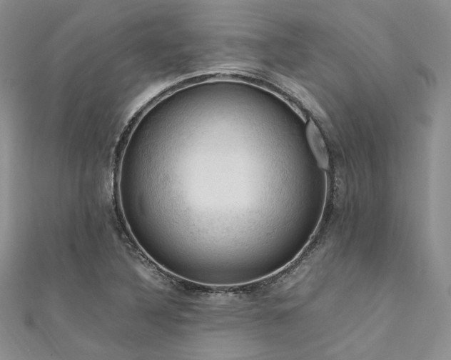 X0000112011316200908031259