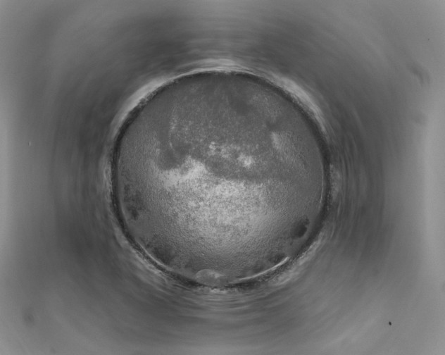 X0000112011318200908031259