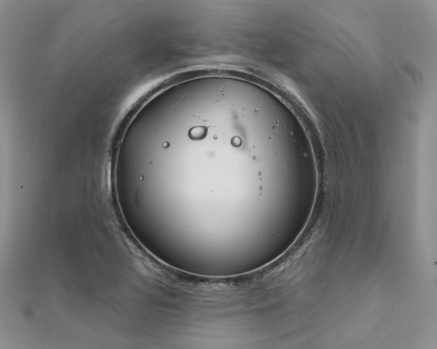 X0000112011320200908031259