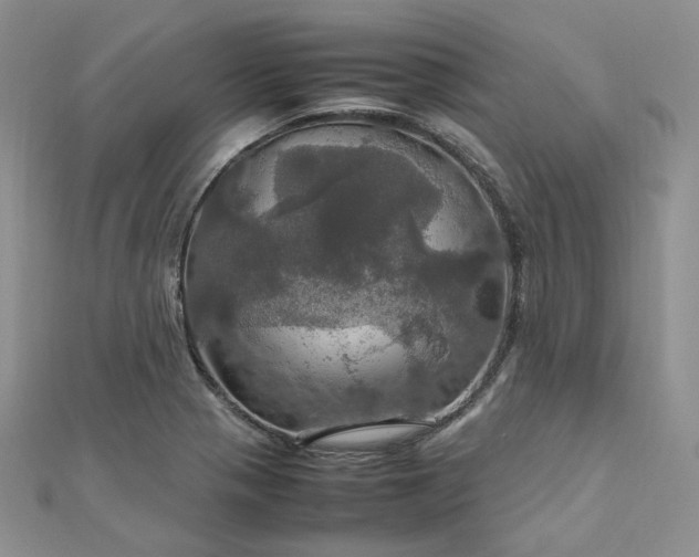 X0000112011321200908031259