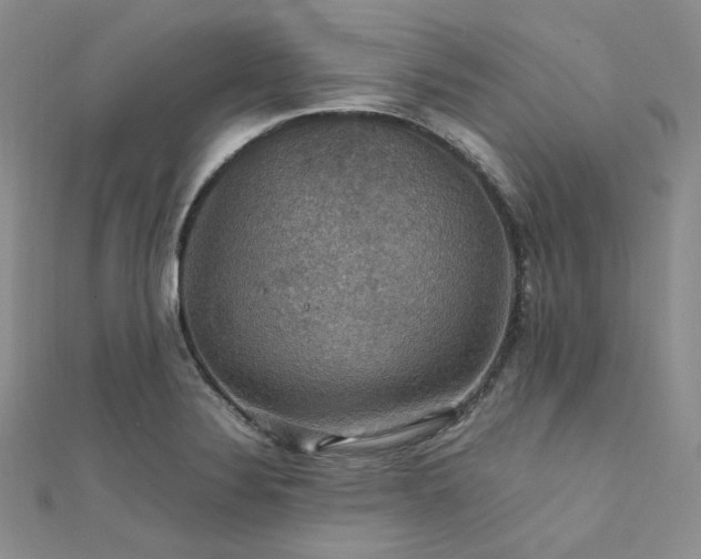X0000112011324200908031259