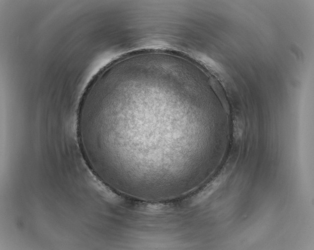 X0000112011326200908031259