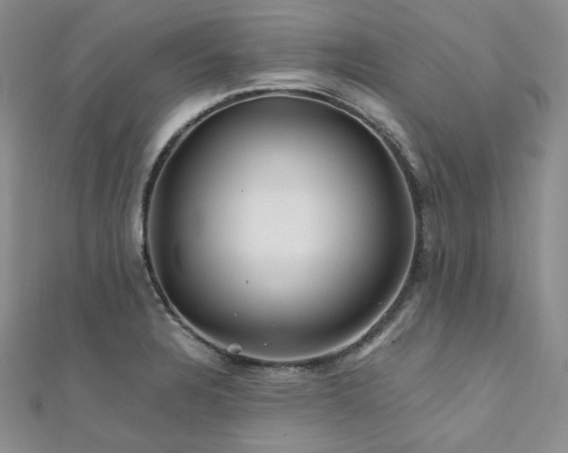 X0000112011328200908031259