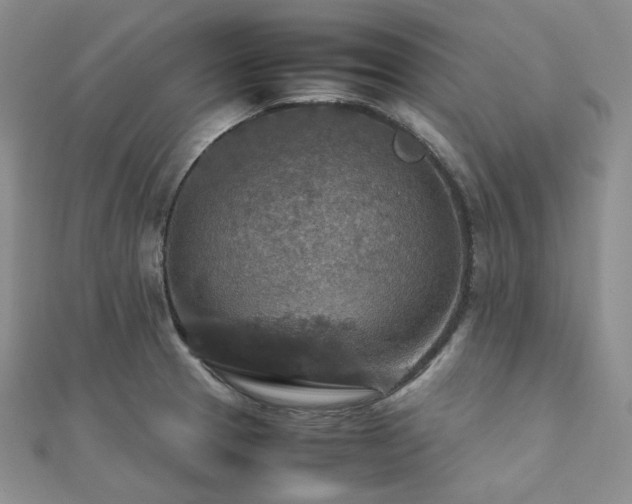 X0000112011329200908031259