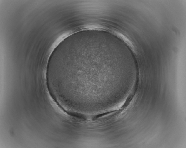 X0000112011330200908031259