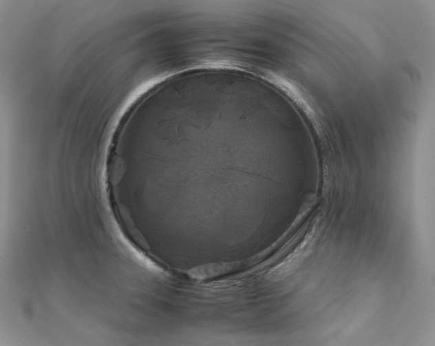 X0000112011331200908031259