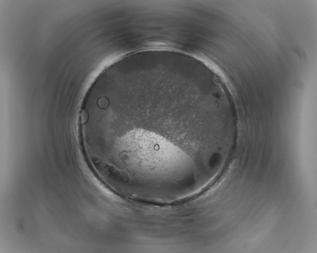 X0000112011333200908031259