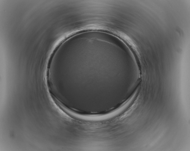 X0000112011334200908031259