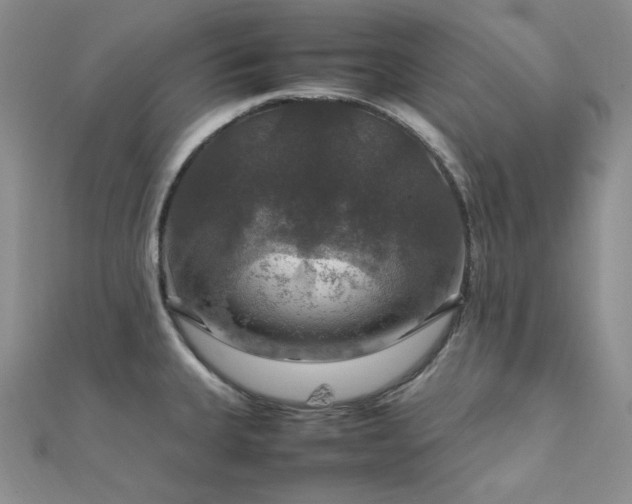 X0000112011335200908031259