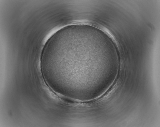 X0000112011336200908031259