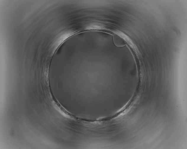 X0000112011337200908031259