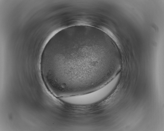 X0000112011339200908031259