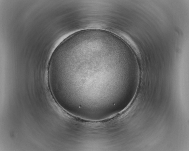 X0000112011340200908031259