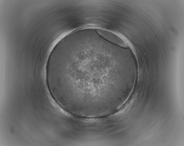 X0000112011341200908031259