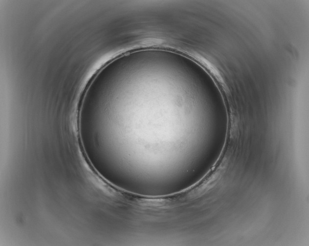 X0000112011342200908031259