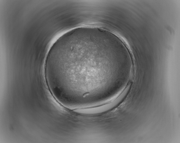 X0000112011344200908031259