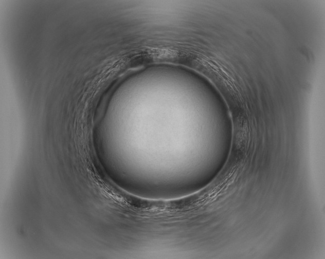 X0000112011345200908031258
